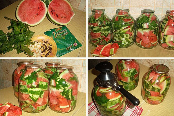 etapper av saltning av vattenmeloner i burkar