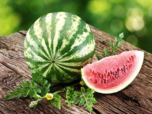 Gebruik watermeloenen in de periode van massale rijping