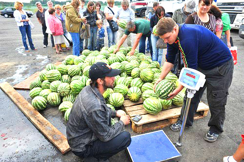Ak chcete nakupovať vodné melóny na cestách, neodporúča sa