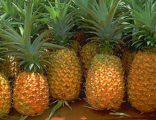 Zvoľte čerstvý ananás
