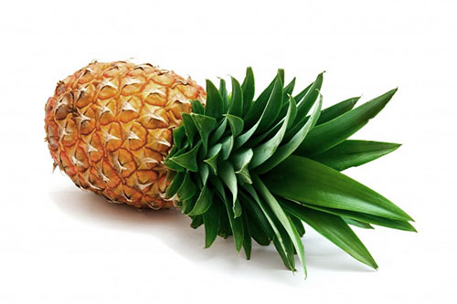 Ak sa dodržia určité pravidlá, ananás sa môže skladovať až 14 dní