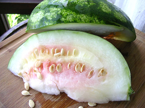 Onrijpe watermeloen