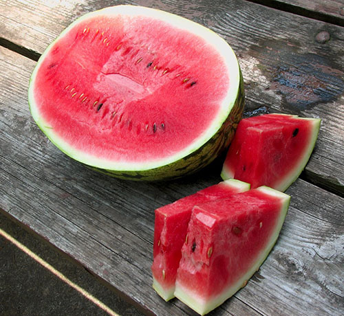 De meest heerlijke watermeloen is alleen in het seizoen van zijn volwassenheid