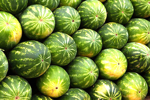 Let bij het kiezen van een watermeloen op de toestand van de aardvlek