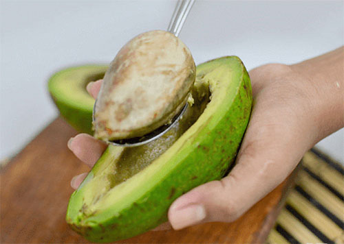 we bereiden een bot voor op ontkiemen avocado