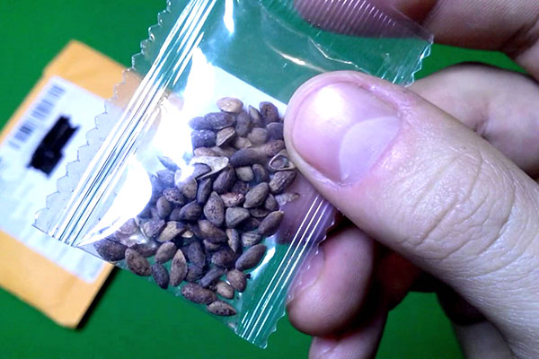 semințe de cireș japonez