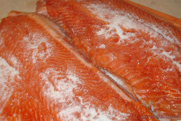 salmon garam