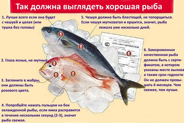 regels voor het selecteren van vis voor het beitsen