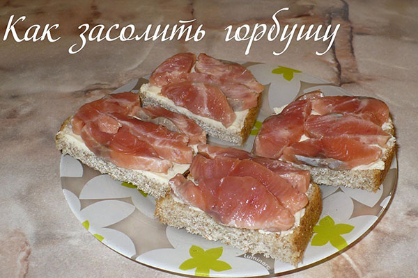 sendviče so soľeným ružovým lososom