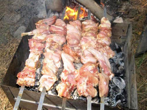 kuhamo šiški kebab od zajca