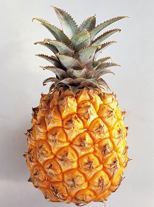 I ananas, en høy konsentrasjon av vitamin C