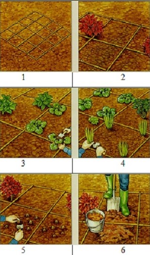 blomsterbedsschema