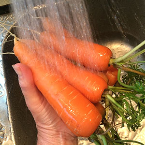 morcovi pentru creșterea penisului