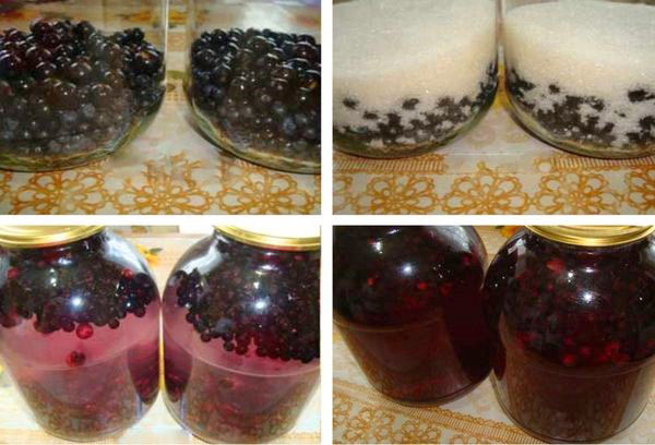 blueberry compote oleh double pouring