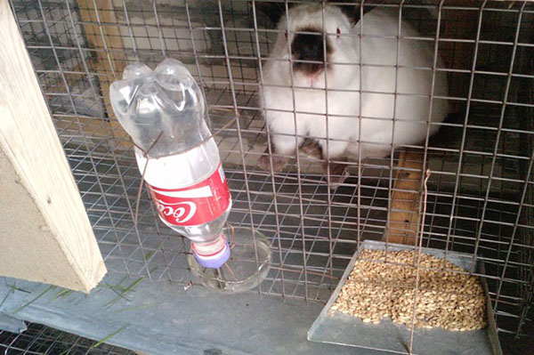 兔子喂食槽和饮水碗
