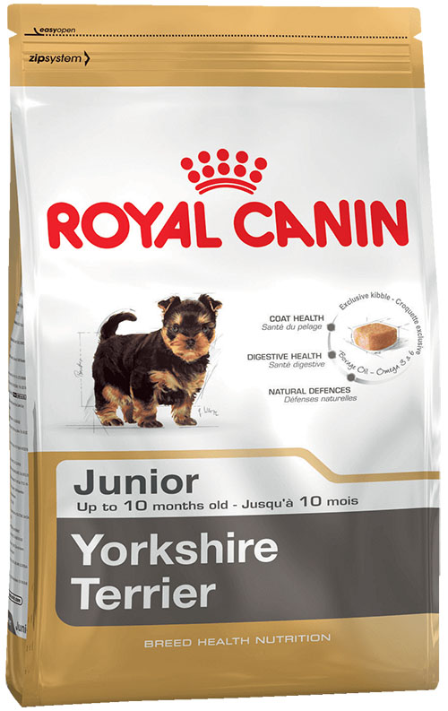 Yorkshire Terrier hrana uscata pentru caini