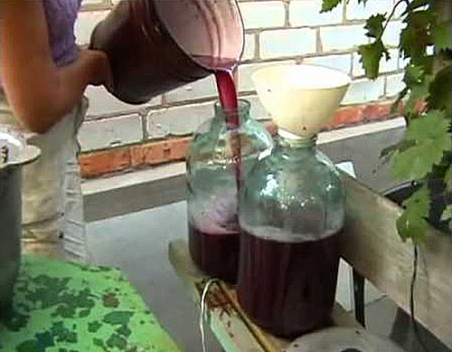 turnați sucul fermentat în sticlă