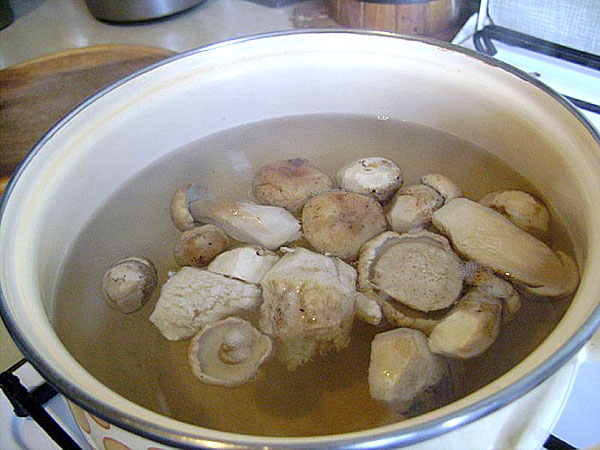 preparar cogumelos