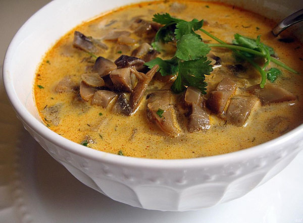 aromatische, nuttige soep van bevroren champignons