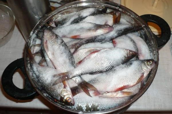 despeje o peixe em sal grande