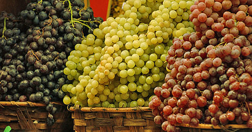 Geriausios vynuogių veislės rinkoje