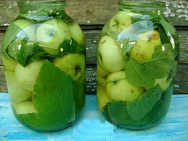 geweekte appels in potten