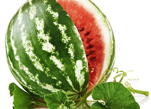 Watermeloen - een nuttig voedingsproduct