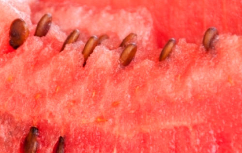 I massen av vannmelon er mange nyttige stoffer