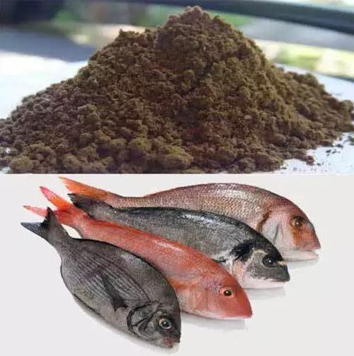 farinha de peixe