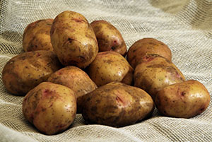 Крупные клубни картофеля