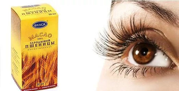 vetegroddarolja för ögon