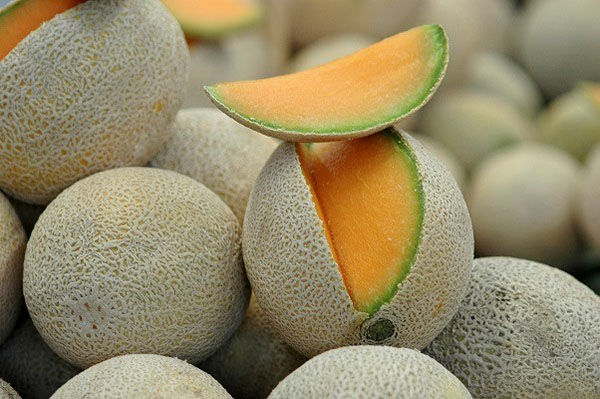 Melon av Cantaloupe har et oransje kjøtt