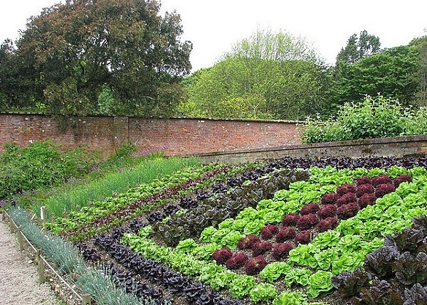reka bentuk landskap katil sayuran Foto