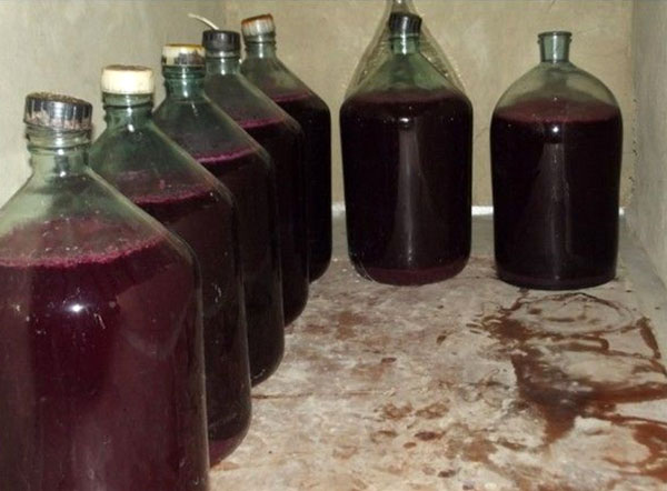 proces starenja vina