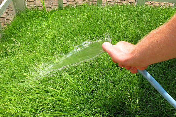 รดน้ำสนามหญ้าจากท่อ