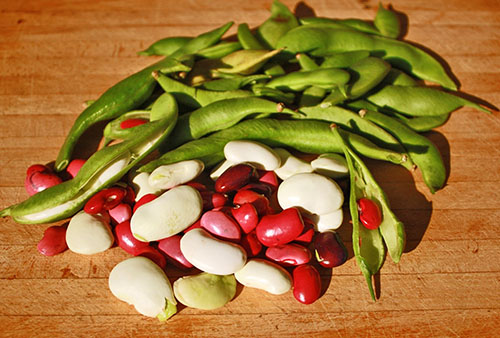 Kedua-dua kacang hijau dan masak mempunyai sifat yang berguna