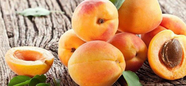 buah aprikot berair yang cerah