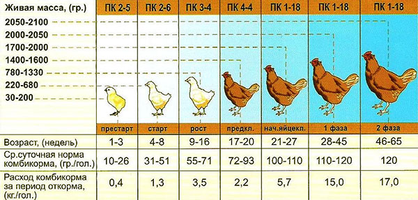 Norma spotreby zmiešaných krmív vrstiev rôzneho veku