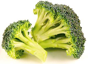 na fotografii brokolica kapusta