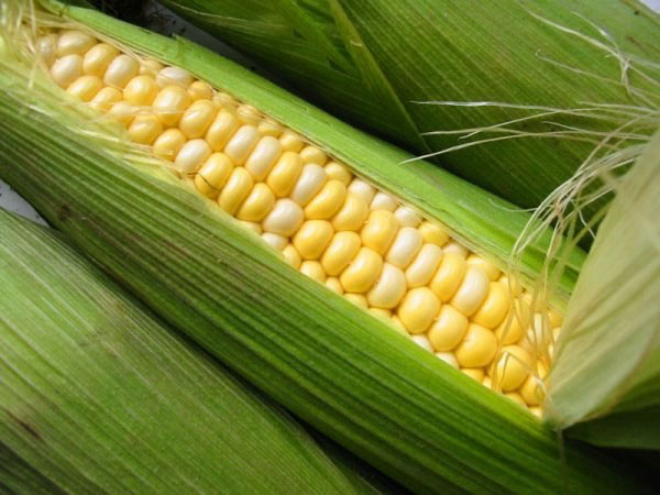 该国玉米产量