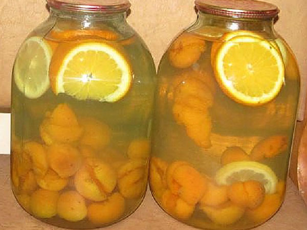 kompot av aprikos, apelsin och citron
