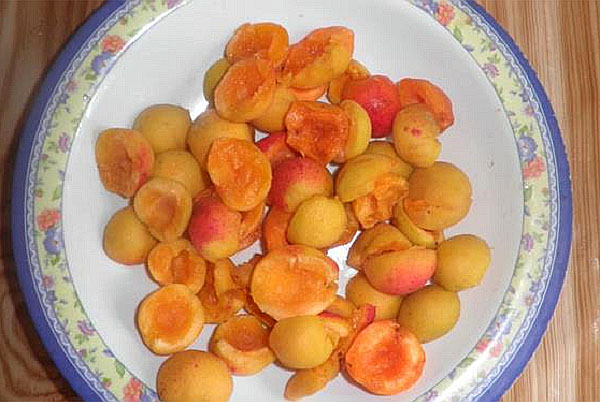 förbered aprikoser för komposit