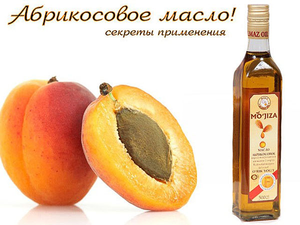 aprikos olje