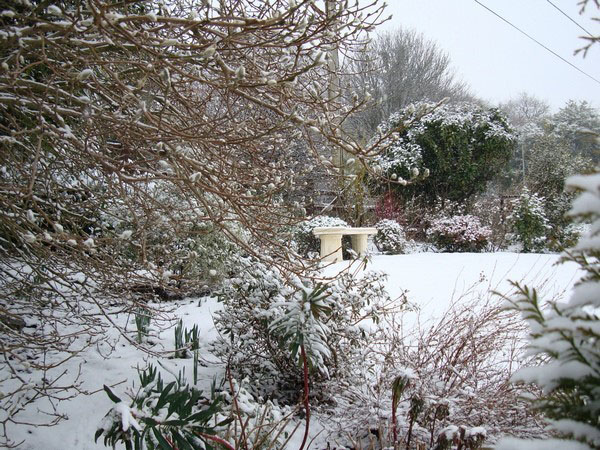 záhrada pod vrstvou snehu