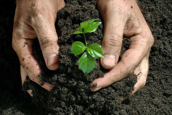 Dodavanje komposta u tlu