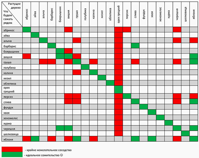 Sodo plantacijų suderinamumo lentelė
