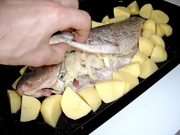 legg fisken med grønnsaker på et bakeplate