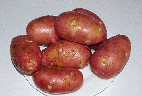 cartofi în formă de penis)