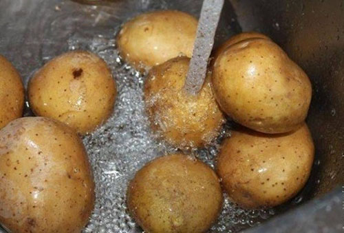 tvätta potatis
