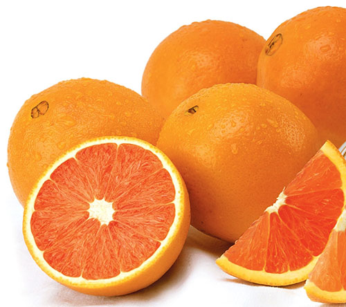 Slatka mirisna naranča